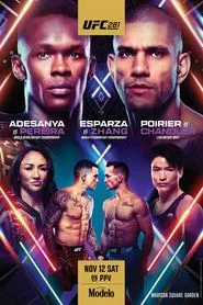UFC 281: Adesanya vs. Pereira movie poster