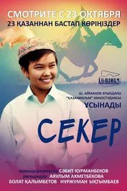 Poster do filme Seker