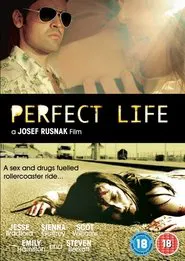 Perfect Life movie poster