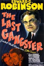 Poster do filme The Last Gangster