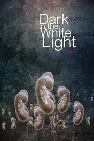 Dark in the White Light movie poster