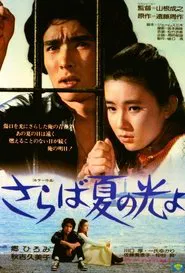 Light and Shade of Youth movie poster