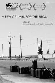 A Few Crumbs For Birds movie poster