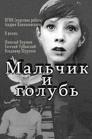 The Boy and the Pigeon movie poster