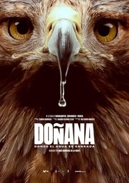 Doñana movie poster