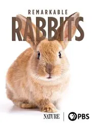 Remarkable Rabbits movie poster