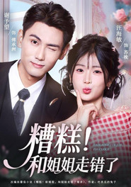 糟糕！和姐姐走错了 tv show poster