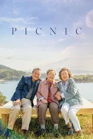 Picnic movie poster