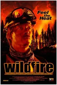 Wildfire: Feel the Heat movie poster