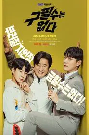 Never Give Up tv show poster