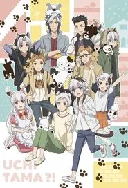 Uchitama?! Have You Seen My Tama? tv show poster