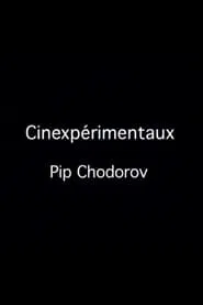 Poster do filme Cinexpérimentaux #4: Pip Chodorov