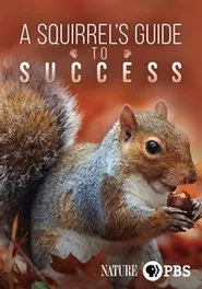 A Squirrel's Guide to Success movie poster