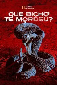 Poster da série Que Bicho te Mordeu?