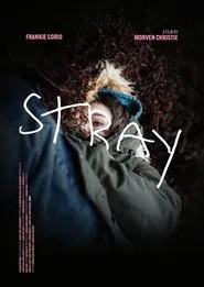 Stray movie poster