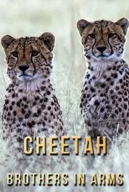 Poster do filme Cheetah Brothers in Arms