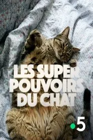 Poster do filme Les super-pouvoirs du chat