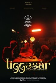 Liggesår movie poster