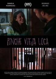 Pinche Vieja Loca movie poster