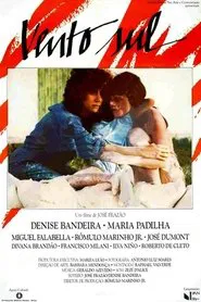 Poster do filme Vento Sul