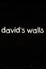 David's Walls movie poster