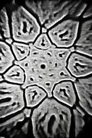 Video Feedback, ARP Drone movie poster