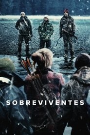 Poster da série Sobreviventes
