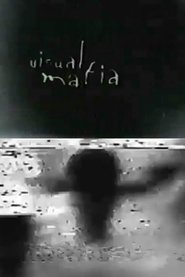 Visual Mafia movie poster