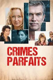 Crimes parfaits tv show poster