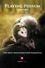 Playing Possum movie poster