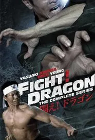 Fight! Dragon! tv show poster