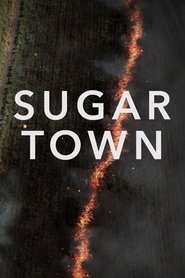 Sugar Town movie poster