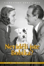 Neviděli jste Bobíka? movie poster