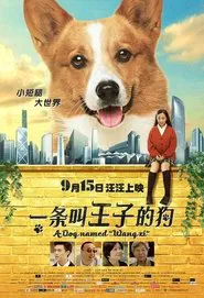Poster do filme A Dog Named Wang Zi