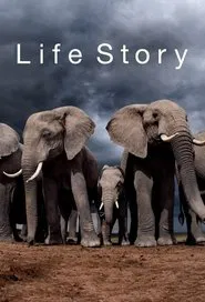 Life Story tv show poster