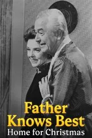 Father Knows Best: Home for Christmas movie poster