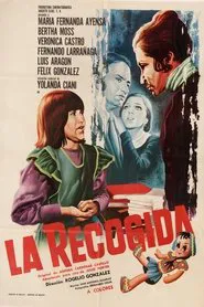 La recogida movie poster