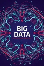 Poster do filme Big Data - La révolution des mégadonnées
