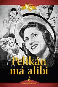Pelikán má alibi movie poster