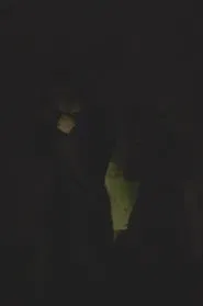 Untitled movie poster