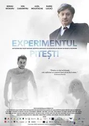 The Pitești Experiment movie poster