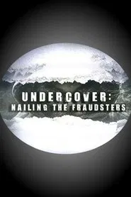 Undercover: Nailing the Fraudsters tv show poster