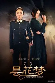 昙花梦 tv show poster