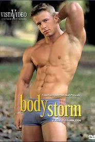 Body Storm movie poster