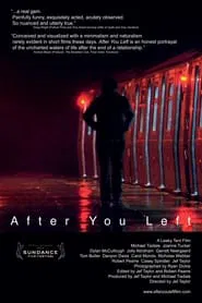 After You Left movie poster