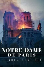Notre-Dame de Paris, l'indestructible movie poster