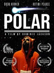 Polar movie poster