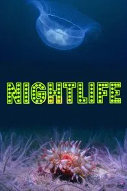 Nightlife movie poster