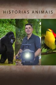 Histórias de Animais tv show poster