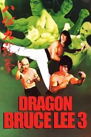 Poster do filme Dragon Bruce Lee 3